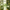 Beauty of Joseon Matte Sun Stick Mugwort + Camelia - Matte sunscreen stick