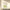 Beauty of Joseon – Centella Asiatica Calming Mask – 25ml, 1pc