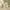 Beauty of Joseon Matte Sun Stick Mugwort + Camelia - Matte sunscreen stick