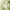 Beauty of Joseon Matte Sun Stick Mugwort + Camelia - Matte sunscreen stick
