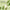 Beauty of Joseon Matte Sun Stick Mugwort + Camelia - Matte sunscreen stick