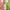 Beauty of Joseon Matte Sun Stick Mugwort + Camelia - Matte sunscreen stick