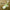 Beplain – Mung Bean Cleansing Oil,