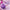 Eqqualberry – Bakuchiol Plumping Serum – 30ml