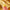 Geek & Gorgeous 101 A-Game 5