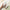 SKIN1004 – Madagascar Centella Travel kit