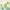 Anua Azelaic Acid 10 serum με Centella και υαλουρονικό